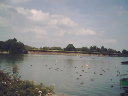 lac avec canards à le quesnoy